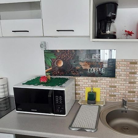 Studio Adela Poiana Brasov Εξωτερικό φωτογραφία