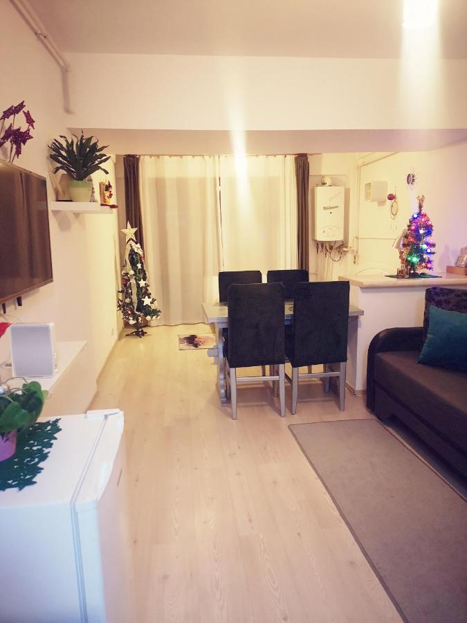 Studio Adela Poiana Brasov Εξωτερικό φωτογραφία