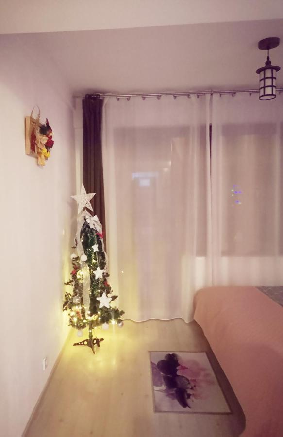 Studio Adela Poiana Brasov Εξωτερικό φωτογραφία