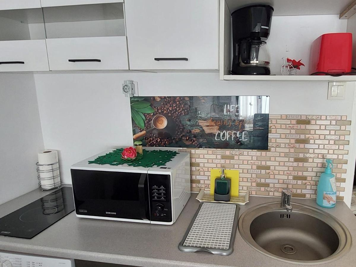 Studio Adela Poiana Brasov Εξωτερικό φωτογραφία