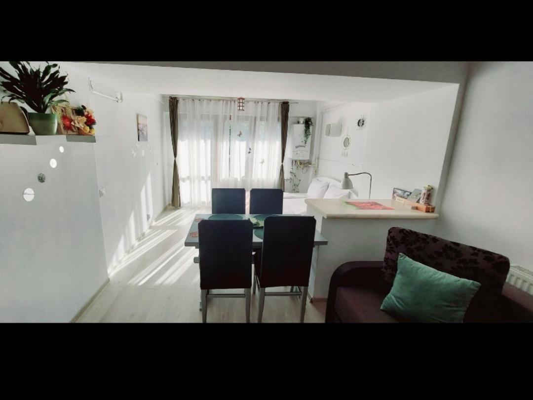 Studio Adela Poiana Brasov Εξωτερικό φωτογραφία